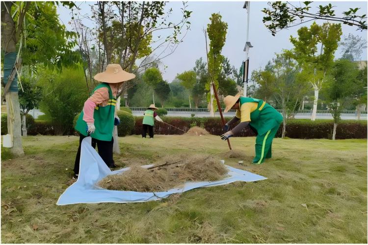 蕲春城管：排查隐患提质造景 精细管护迎双节