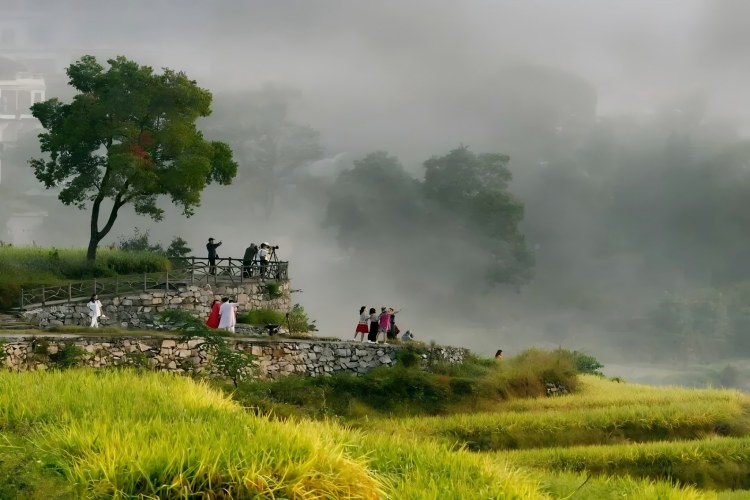 避开人潮！蕲春烟雨乡野，赴一场水墨慢旅行