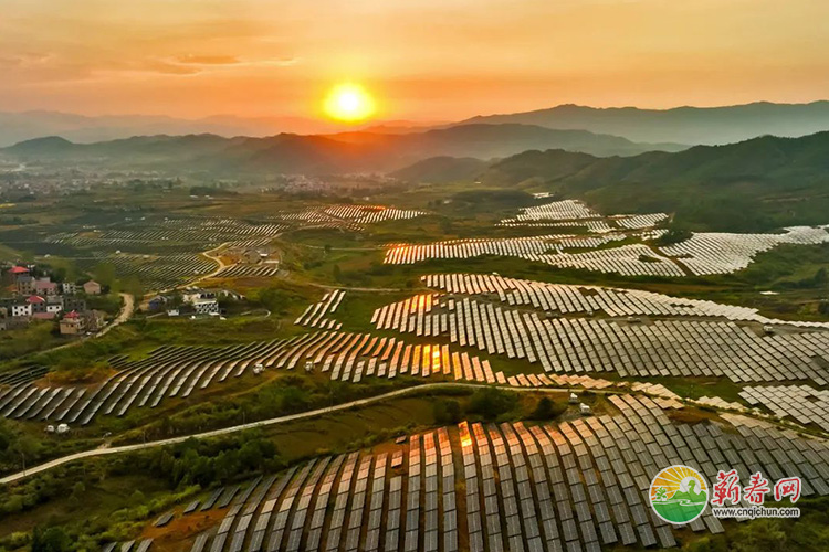 蕲春网缩略图标准2.jpg /uploads/20221019/5cb3d548f71a3c55f32cbbd04468edc2.jpg