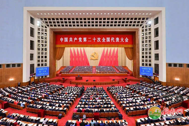 蕲春网缩略图标准1.jpg /uploads/20221019/f4dafc488e62d0b83f04c9eca1a20d1f.jpg