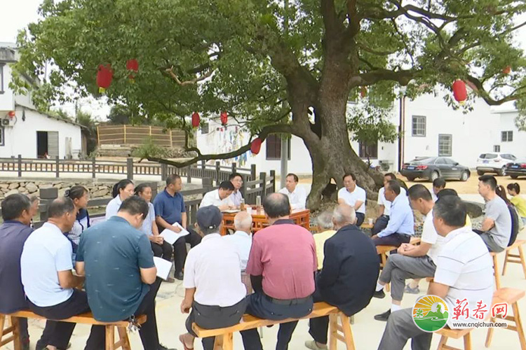 9月30日 &bull; 一分钟纵览蕲春热点