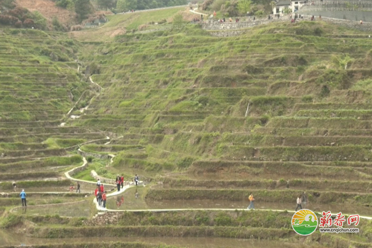 蕲春网缩略图标准72.jpg /uploads/20221020/38703a152c9c75a5ad90955a7e2a37e5.jpg