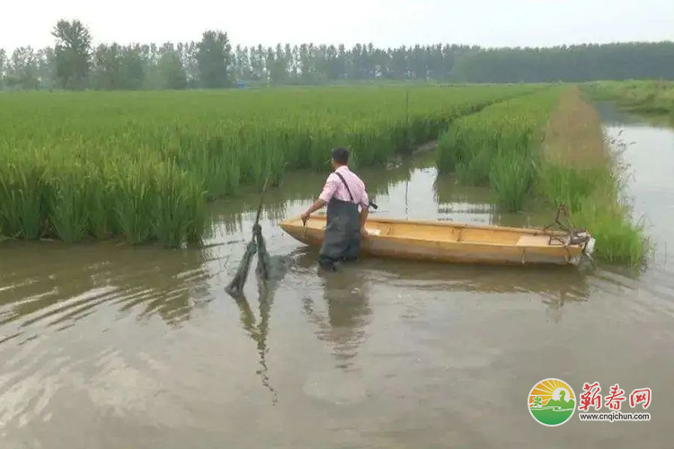 蕲春网缩略图标准34.jpg /uploads/20221020/ea80108373f98696f716fea9263fb84b.jpg