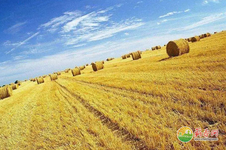 蕲春网缩略图标准35.jpg /uploads/20221020/f4036a6f3fcf121e3dc12b449a9f6626.jpg