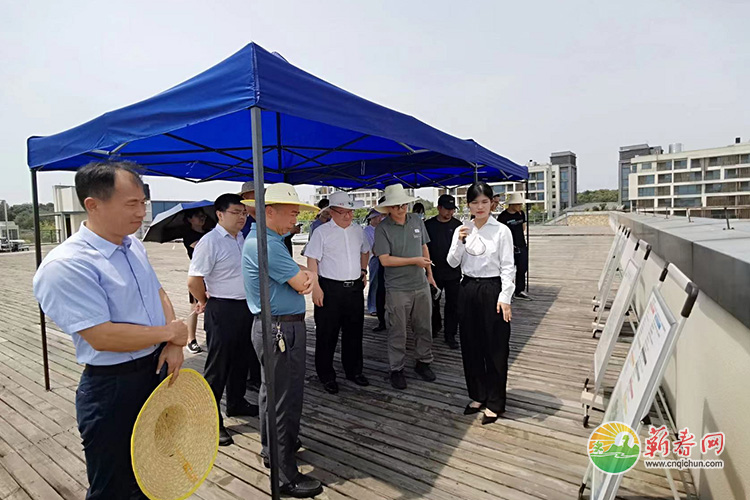 蕲春网缩略图标准4.jpg /uploads/20221021/680a448cfff1def5f8f30a7f59f53dea.jpg