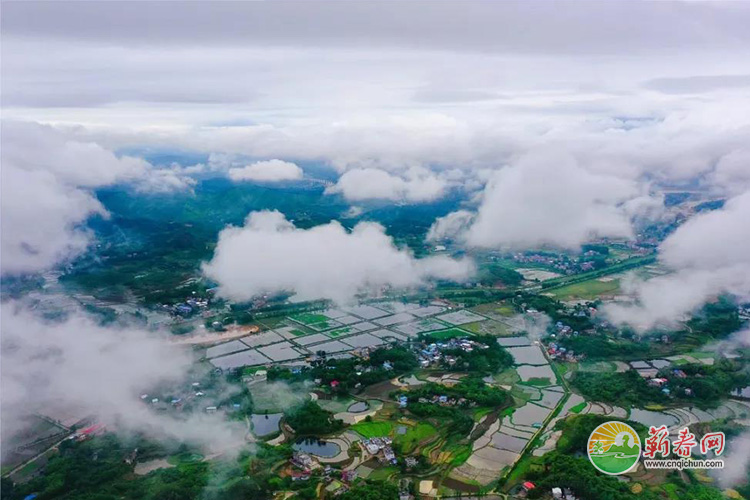 蕲春网缩略图标准192.jpg /uploads/20221021/c5696aca5117db14c99fbefdafb22dc6.jpg