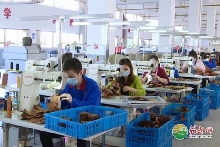 湖北蕲春：完成技改投资14.69亿元 着力培育一批专精特新&ldquo;小巨人&rdquo;企业