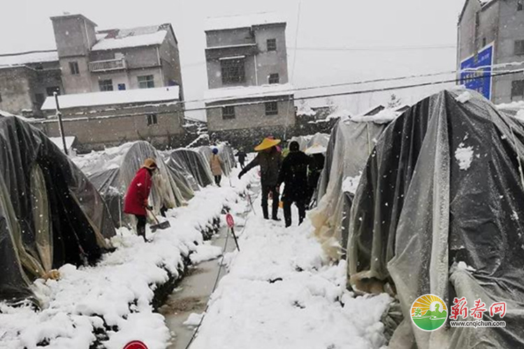 蕲春网缩略图标准110.jpg /uploads/20221031/4316db7d3d82d8dc212df3c5ce851a62.jpg