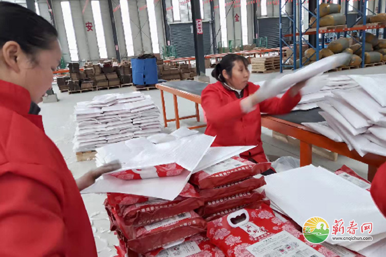 蕲春网缩略图标准121.jpg /uploads/20221031/a88f6faa2c80c095c5d3c37598a8c2dc.jpg