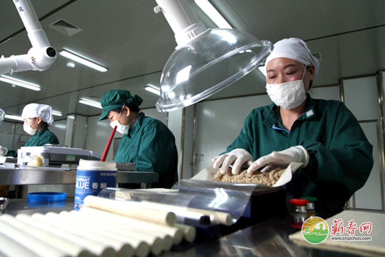 蕲春网缩略图标准173.jpg /uploads/20221101/210c1a4d33b5c6652a6de8551ad429e8.jpg