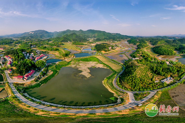 蕲春网缩略图标准172.jpg /uploads/20221101/2fbd79c98b32cbd54e2df7c8bc2e4f41.jpg