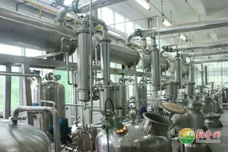 蕲春网缩略图标准289.jpg /uploads/20230110/7bf0f9084cf9b63a35c5c4e8e29e7bd2.jpg