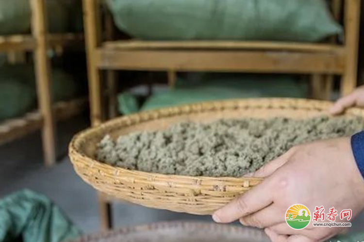 蕲春网缩略图标准293.jpg /uploads/20230110/e4957e913d4cfaa91919743543ad28f0.jpg