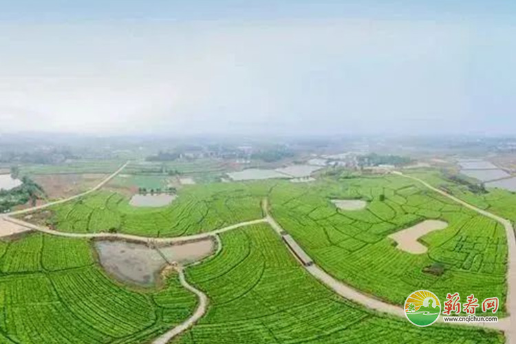 蕲春网缩略图标准283.jpg /uploads/20230110/fbe9d25b419ca86f9205251684d6c318.jpg