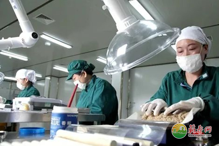 蕲春网缩略图标准292.jpg /uploads/20230110/ff10d1cf9e3ca02a0bc7e58ca6fa282f.jpg