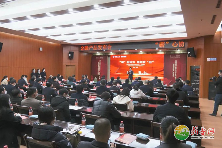 蕲春网缩略图标准315.jpg /uploads/20230111/f67ca8537cb9aa2d623f3ce4b7c71e88.jpg