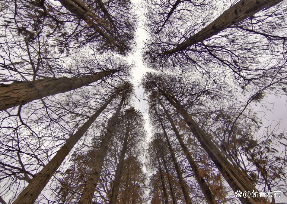 微信图片_20230203162311.png /uploads/20230203/9858f6d5a217d0e9593693394370ecca.png