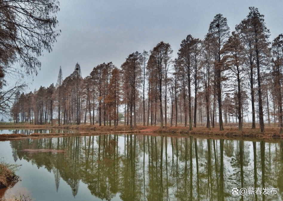 微信图片_20230203162304.png /uploads/20230203/98a7affb86bdee89ad9d3ccae16d8d11.png