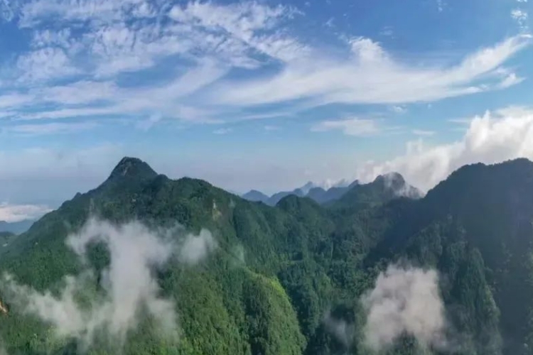 微信图片_20230213153030.jpg /uploads/20230213/20ff7912bbc99d53986c870a2b510711.jpg