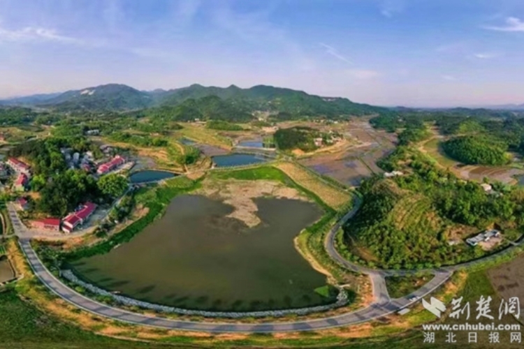 1677813908914.jpg /uploads/20230303/72640b85357fc896a339146bc91e63bc.jpg