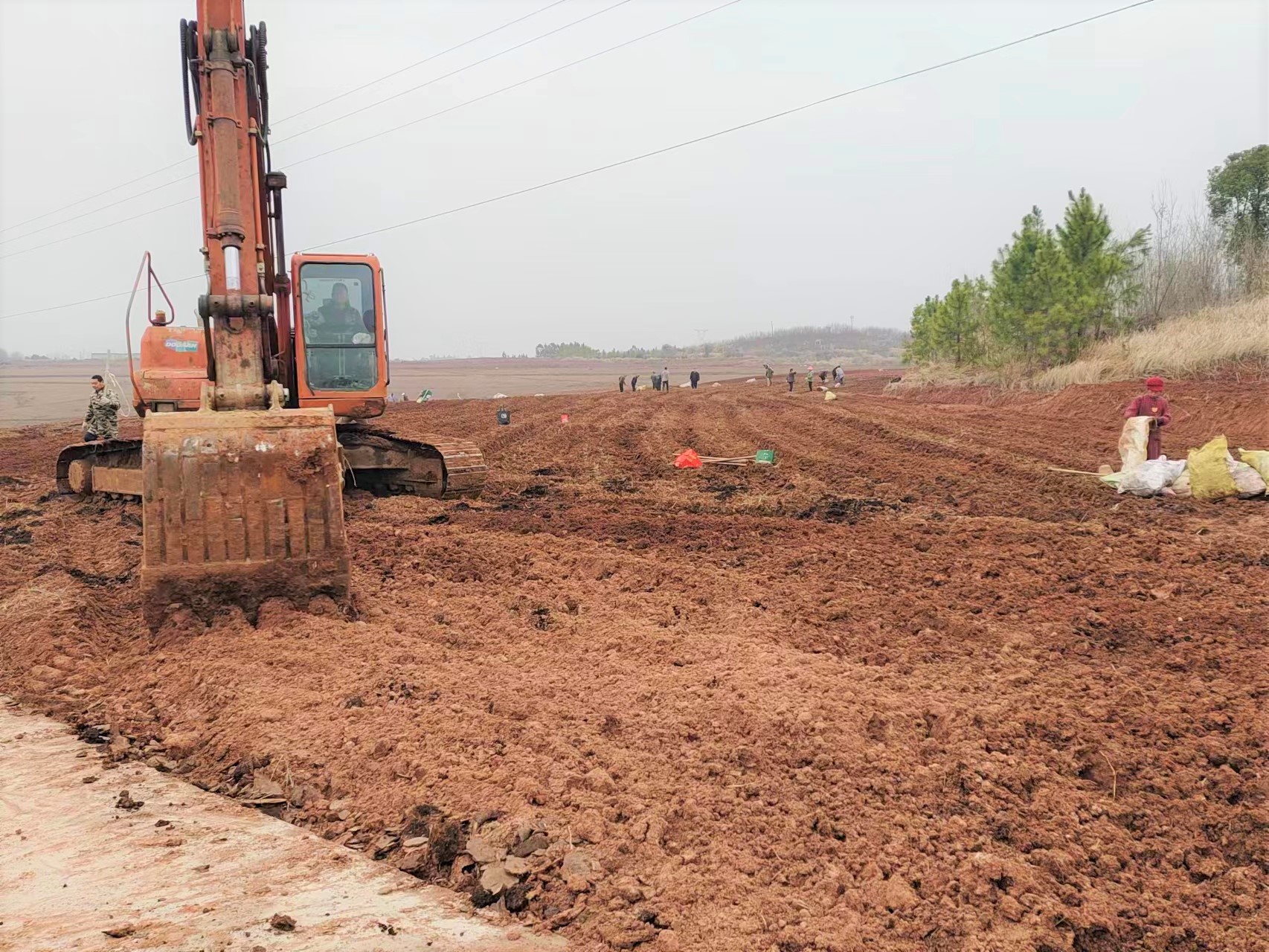 选用.jpg 选用.jpg