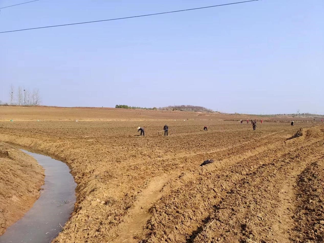 选用.jpg 选用.jpg