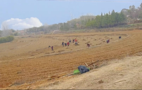 1678760128700.jpg /uploads/20230314/65b58aa5da9332cd01a72564f547d6a8.jpg