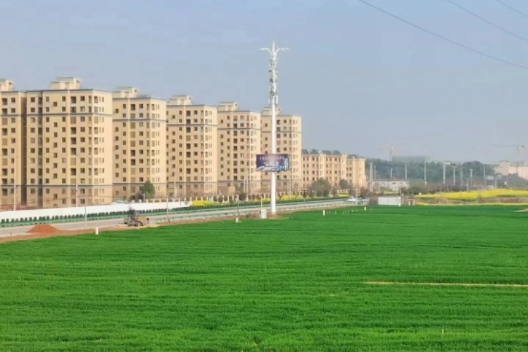 强！蕲春县这个镇村村收入过10万，共同富裕不是梦