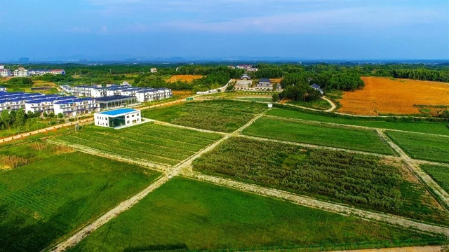 1678760156228.jpg /uploads/20230314/93b82f2be4020bd14845d2cdcb949c77.jpg