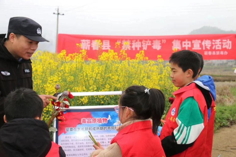 蕲春：无毒乡村 你我共建