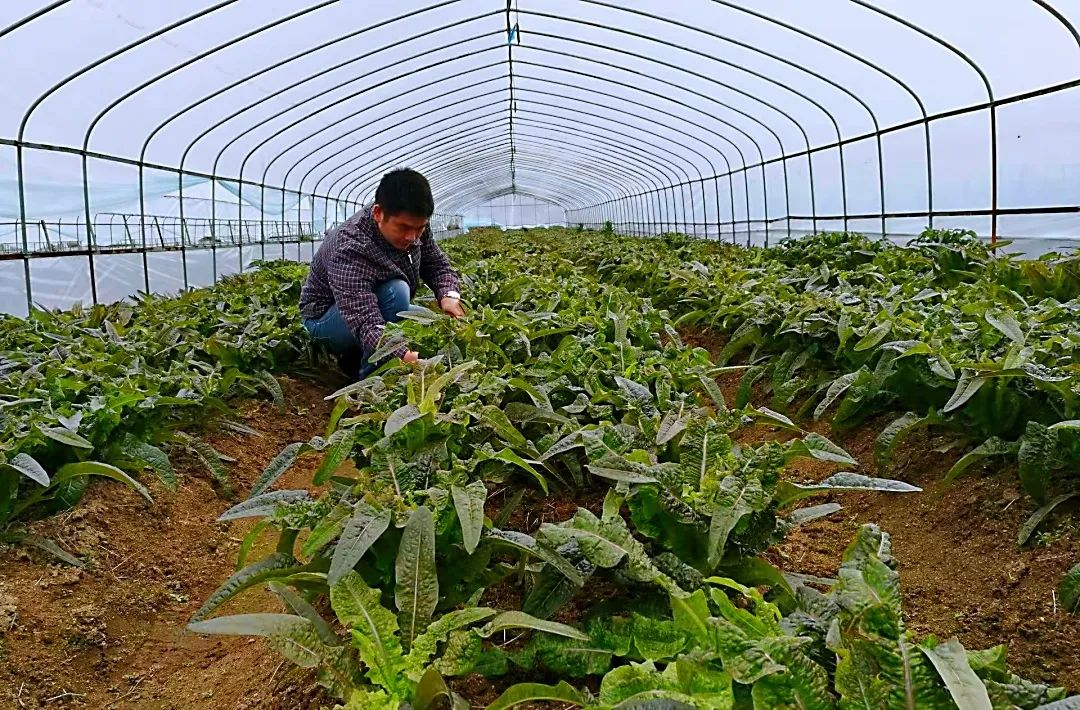 1679623790249.jpg /uploads/20230324/7a2f0a8999a87fde33ffef83c4837140.jpg