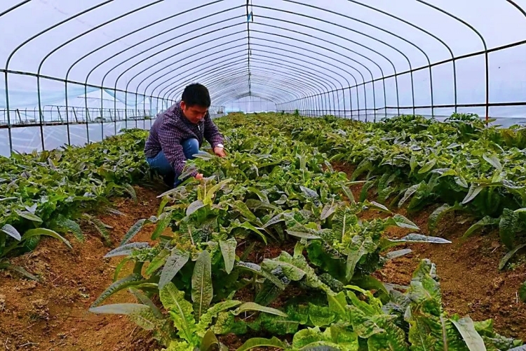 从贫困户到&ldquo;领头雁&rdquo;，他藏着哪些故事？
