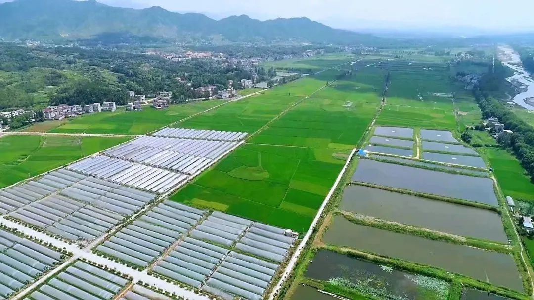 1679623872440.jpg /uploads/20230324/8f2c6fd55fedba33871977b260d7ace3.jpg