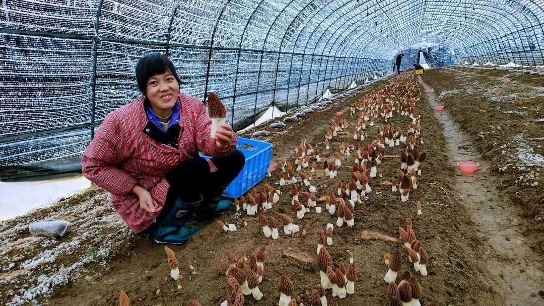 1679623820341.jpg /uploads/20230324/a40e035d2b8c17a29540752bc0a6a924.jpg