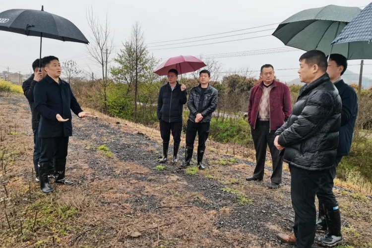 蕲春八里湖办事处：强化监管动真格，制止耕地&ldquo;非农化&rdquo;