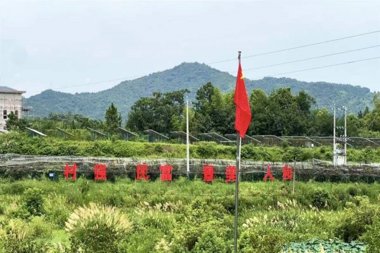 大别山穷旮旯 蝶变&ldquo;金窝窝&rdquo;！省台办持续8年10名干部接力帮扶