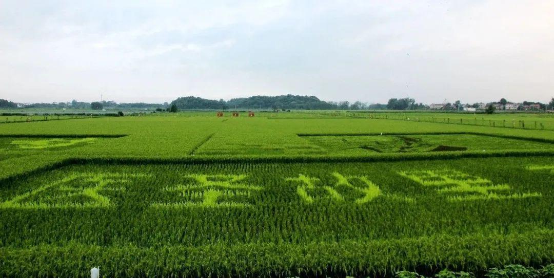 74849ea3436c4885bca06f3ca219a183_noop.jpg /uploads/20230720/a27e4b1dba45373ec0ff8a034134cc69.jpg