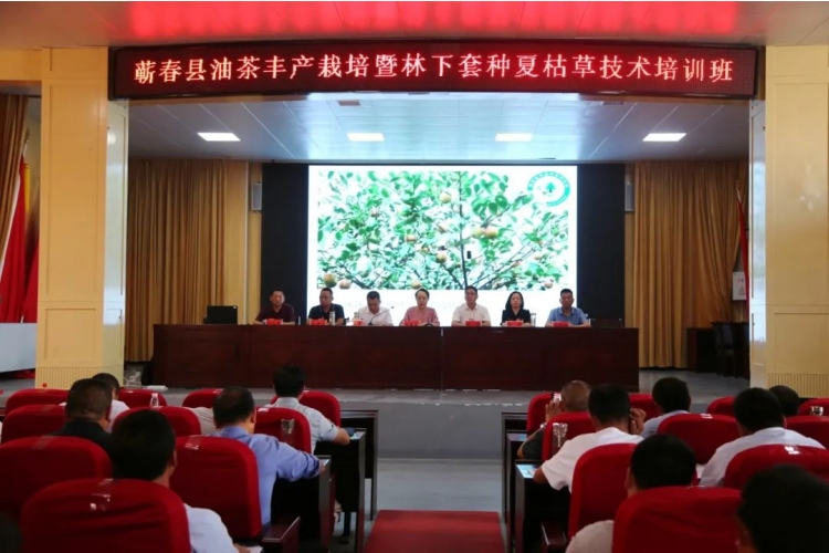 蕲春林业局举办油茶丰产栽培暨林下套种夏枯草技术培训班