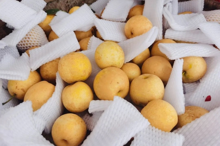 生态变产业 青山变&ldquo;金山&rdquo;  檀林镇&ldquo;引雁归巢&rdquo;振兴乡村产业