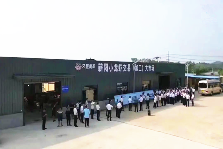 稻虾&ldquo;混搭&rdquo; 田里&ldquo;刨金&rdquo; 蕲春横车镇以项目建设推进经济高质量发展