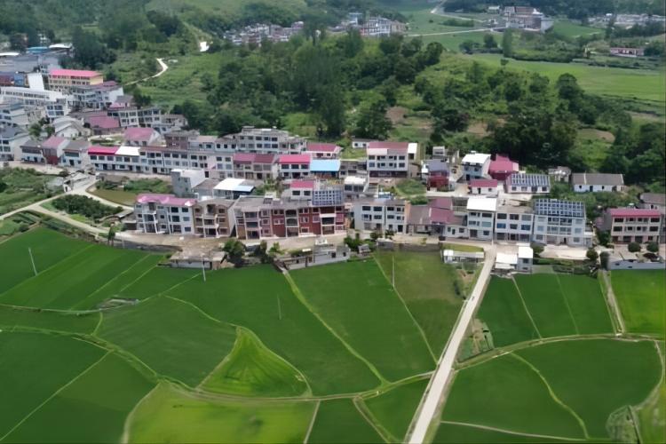 张塝镇塔林村跻身全省综合减灾示范村