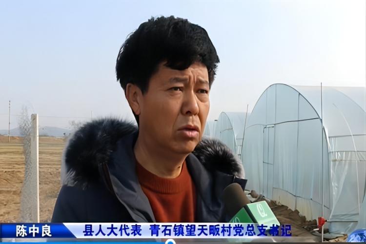 青石镇望天畈村党总支书记陈中良：盘活土地结硕果