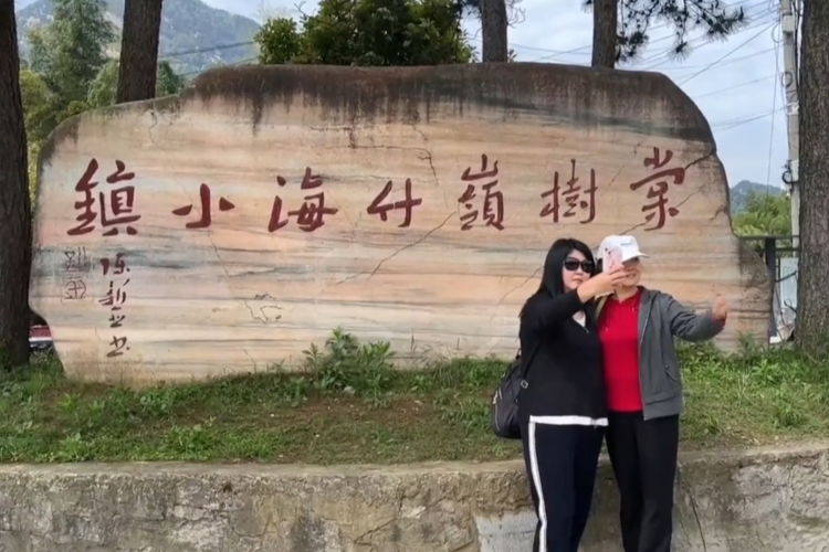 向桥乡：打造农文旅示范片 绘就乡村振兴新图景