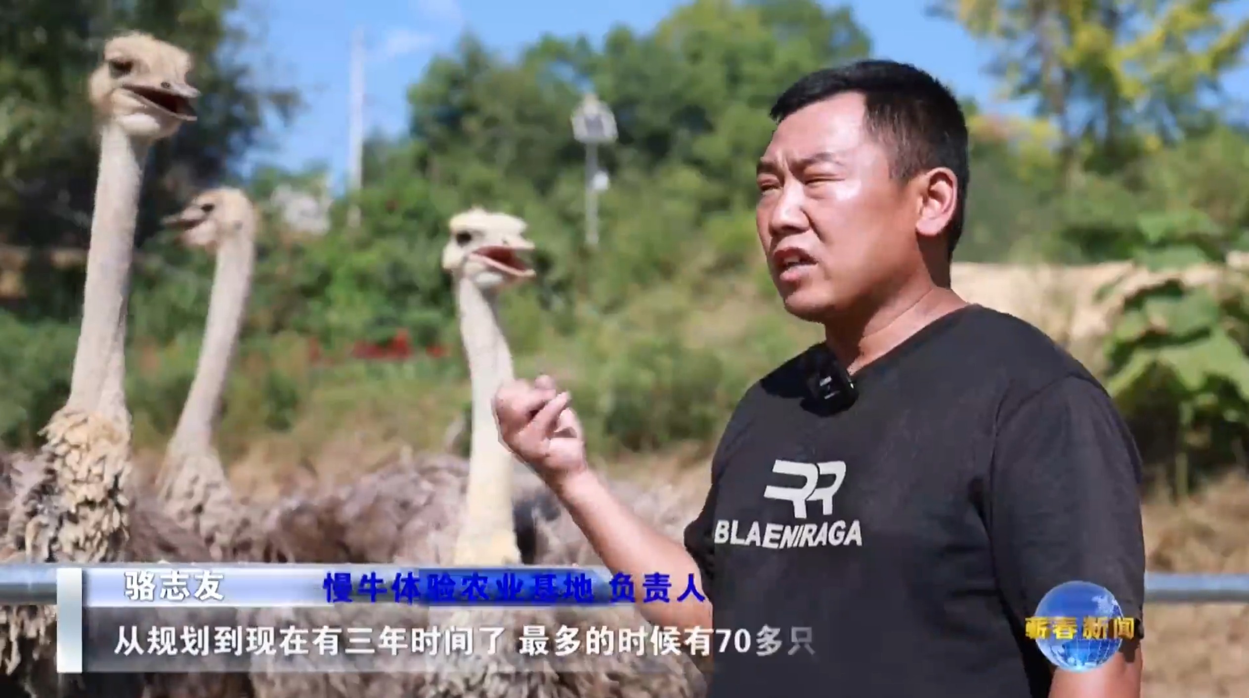 视频｜骆志友：特色养殖&ldquo;鸵&rdquo;起致富梦