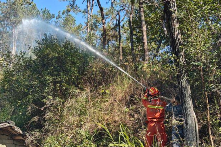 张塝镇开展森林消防&ldquo;以水灭火&rdquo;技能联合演练活动