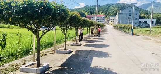 倒2.jpg /uploads/20241227/a8bed9d6a7d0780cdd81e8f60fd7e666.jpg