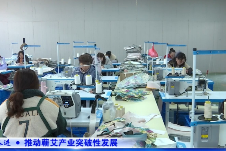 【奋进&bull;推动蕲艾产业突破性发展】蕲春百家蕲艾：创新实践跑出产业发展&ldquo;加速度&rdquo;