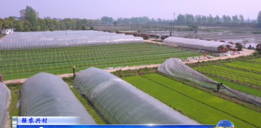视频|【强农兴村】蕲春：水稻育秧春播忙 育出丰收&ldquo;好苗头&rdquo;