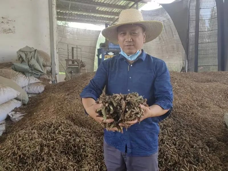 640 (6).jpg /uploads/20250805/2b837f095142c0ded4f6f37fefa16f90.jpg