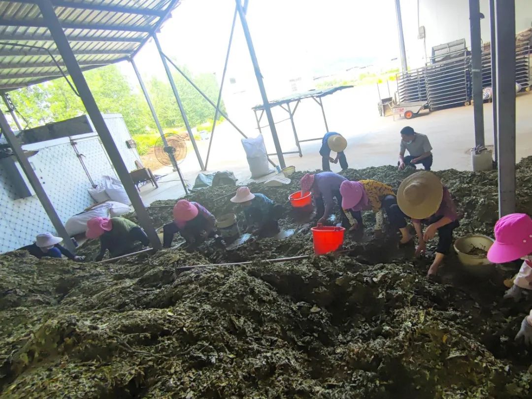 640 (10).jpg /uploads/20250805/e1376531efa19f27c552bd76a056f861.jpg